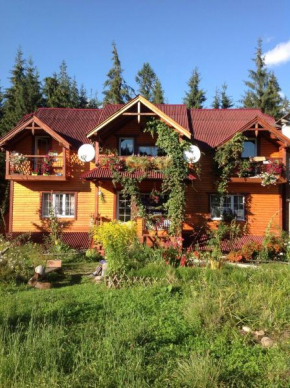 Гостиница Cottage 12 Months  Ворохта